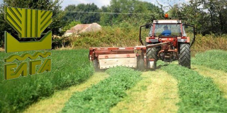 ΕΛΓΑ: Πότε λήγει η προθεσμία για την πληρωμή των ασφαλιστικών εισφορών