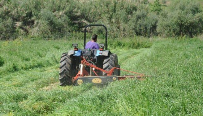 Πότε θα πληρωθεί η αγροτική επιδότηση των 14.000 ευρώ