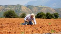 Κόστος παραγωγής: Έρχεται νέο μέτρο στήριξης για αγρότες και αγροδιατροφικές επιχειρήσεις