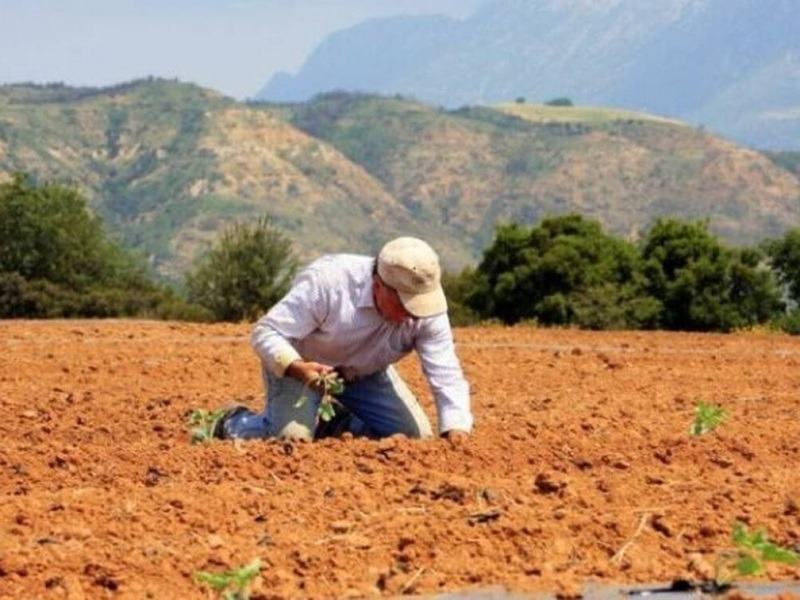 Δεν θα πληρώνουν εισφορές οι συνταξιούχοι με αγροτικό κλήρο και εισόδημα έως 10.000 ευρώ