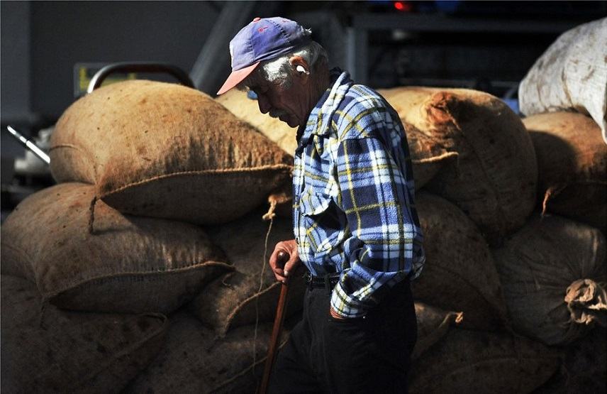 Αγρότες: Νέο “ψαλίδι” στις επιδοτήσεις φέρνει η νέα ΚΑΠ