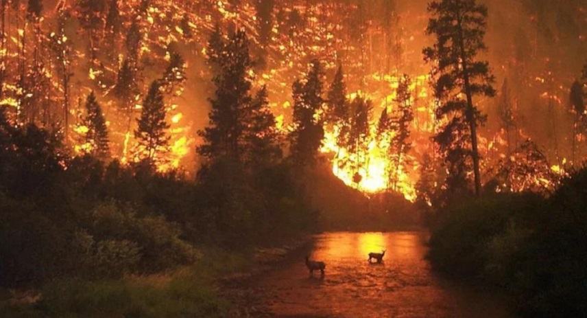 Η Γη εκπέμπει «SOS»: Τι σημαίνουν οι πυρκαγιές στην Αλάσκα για την κλιματική αλλαγή
