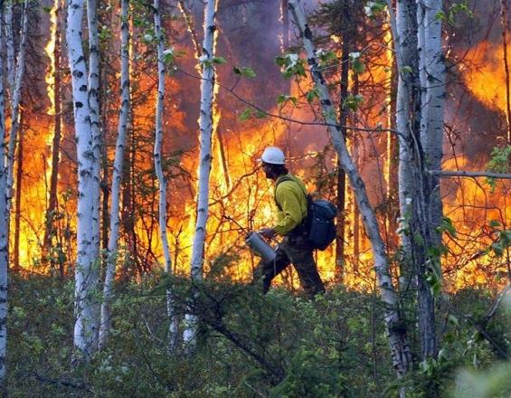 Τι σημαίνουν οι πυρκαγιές στην Αλάσκα για την αλλαγή στο κλίμα του πλανήτη