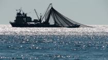 COVID-19: Στο επίκεντρο για τη στήριξη των τομέων Αλιείας και Υδατοκαλλιέργειας