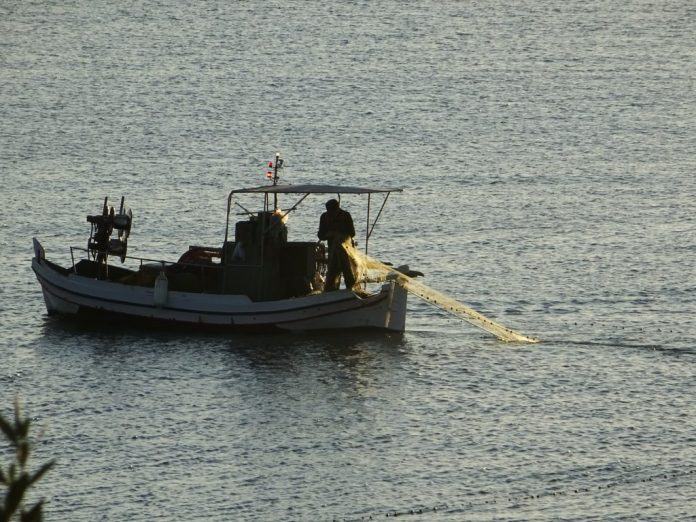 Τρομακτική πρόβλεψη ερευνήτριας: «Η αλιεία στην Κρήτη σιγά-σιγά σβήνει»