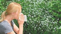 Εαρινές αλλεργίες: Οι ομοιότητες και οι διαφορές με τον κορονοϊό