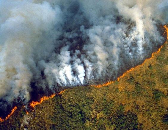 Η Βραζιλία στέλνει στρατό στον Αμαζόνιο για τις πυρκαγιές