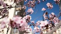 «Θα πάρουμε γερή δόση Άνοιξης»: Πότε αλλάζει ο καιρός και ανεβαίνει η θερμοκρασία