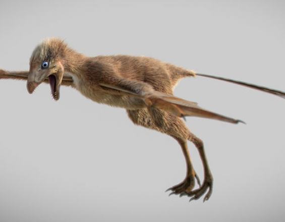 Ανακαλύφθηκε μικροσκοπικός δεινόσαυρος με φτερά νυχτερίδας