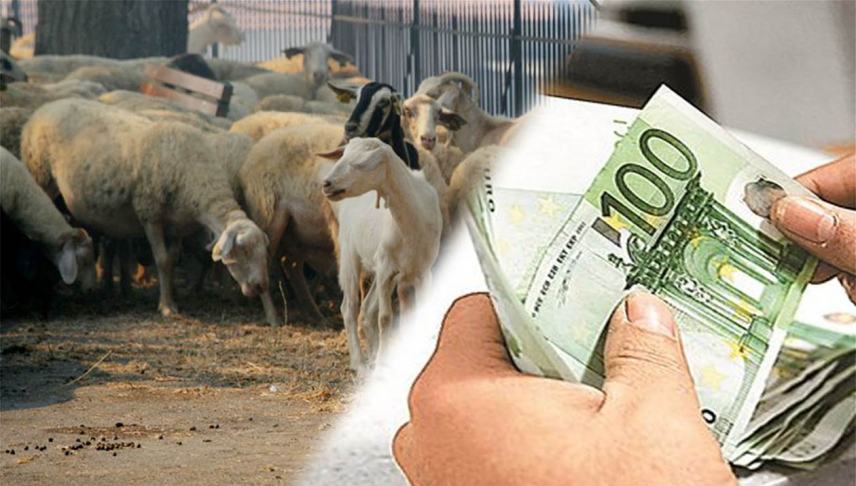 Έρχεται χρήμα για τους κτηνοτρόφους