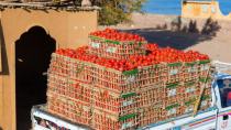 ‘Εξι τόνοι ντομάτες- δηλητήριο κατασχέθηκαν στον Πειραιά