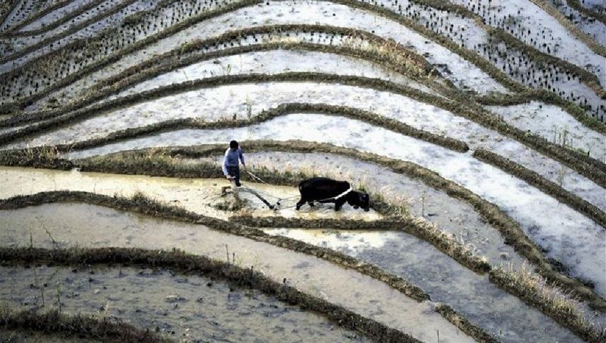 Η φθίνουσα παραγωγικότητα του εδάφους ενέχει κινδύνους για την ανθρώπινη ασφάλεια.