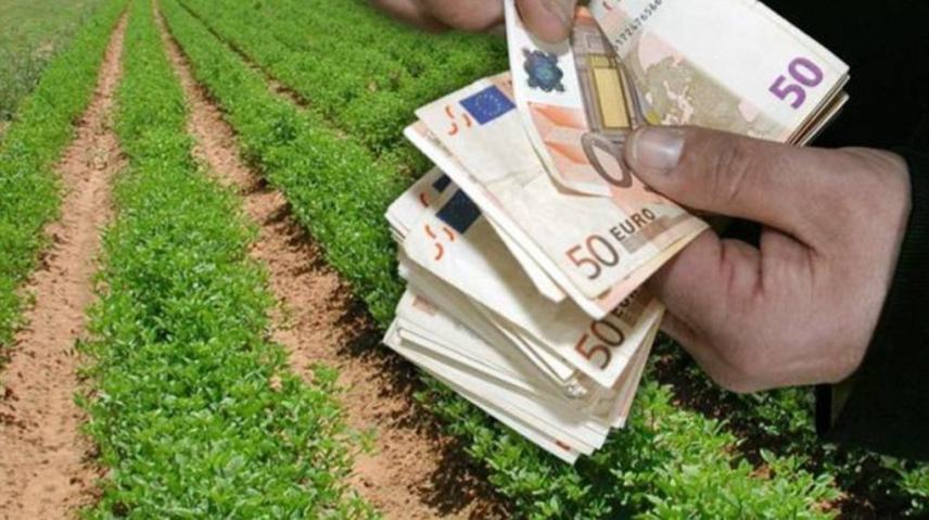 Θέμα mesaralive.gr: Πληρώνονται οι Νέοι αγρότες στη Μεσαρά