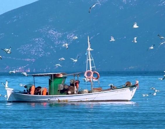 Ερχεται το leader αλιείας και ευκαιρίες ανάπτυξης
