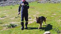 Έχασε τον προσανατολισμό του και στήθηκε επιχείρηση