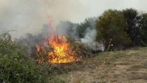 Υψηλός κίνδυνος πυρκαγιάς