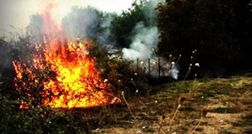 Πυροπροστασία: Πώς θα αποφευχθούν οι αγροτικές πυρκαγιές