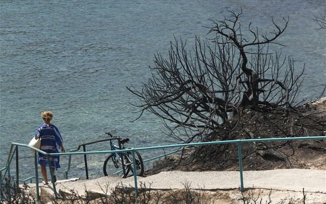 ΑΑΔΕ: Διευκρινίσεις για τα μέτρα διευκόλυνσης των πυρόπληκτων