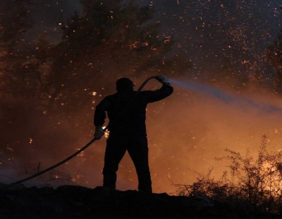 Μελέτη για την αποκατάσταση των καμμένων περιοχών του Δήμου Αγίου Βασιλείου