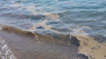 Στις παραλίες της Κρήτης: Όταν η μόλυνση είναι... φυτοπλαγκτόν