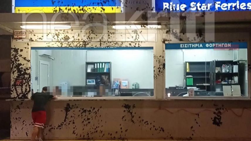 Αναστάτωση στο λιμάνι του Ηρακλείου: Πέταξαν μπογιές στα γκισέ έκδοσης εισιτηρίων της ΑΝΕΚ