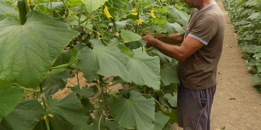 Έτσι πέφτουν θύματα απατεώνων οι αγρότες της Ιεράπετρας