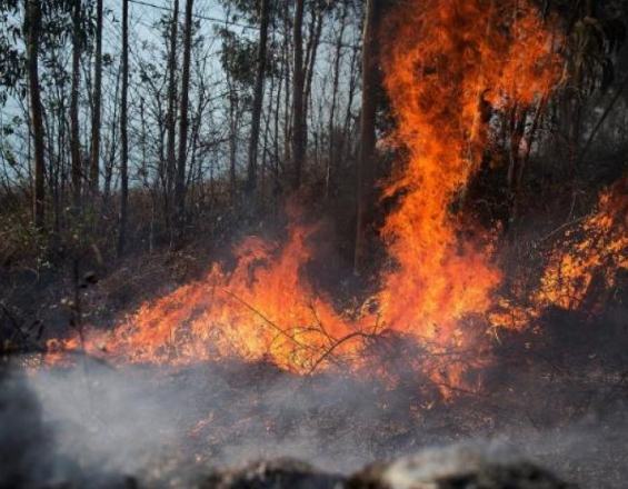 Ισραήλ: Στους 49,9 βαθμούς η θερμοκρασία!