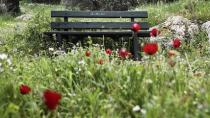 Ανοιξιάτικος και σήμερα ο καιρός -Δείτε θερμοκρασίες ανά περιοχή