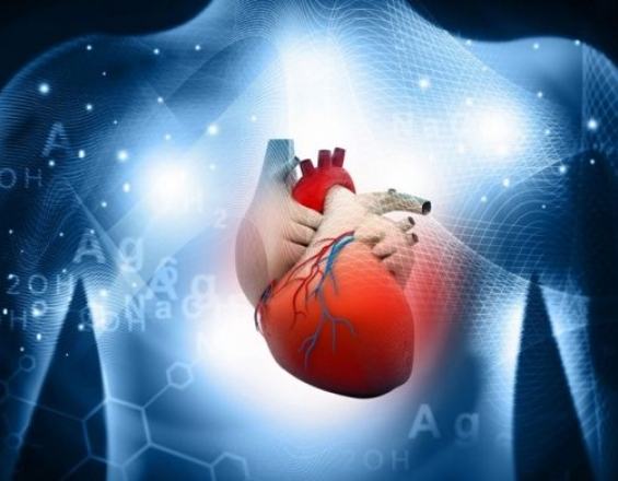 Τεχνητό καρδιακό επίθεμα βοηθά στην ανάρρωση από έμφραγμα