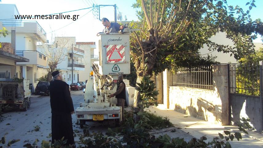 Συνεχίζονται τα κλαδέματα στο Τυμπάκι