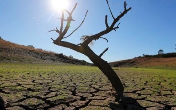 Η ξηρά στεγνώνει με «πρωτοφανή» ταχύτητα – Προειδοποίηση για παγκόσμια «χρεοκοπία νερού»