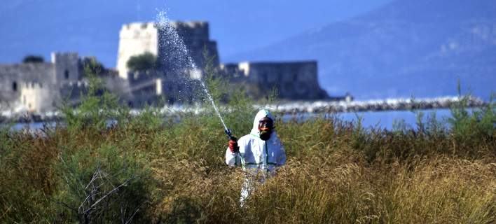 Συναγερμός για τον ιό του Δυτικού Νείλου: 5 θάνατοι