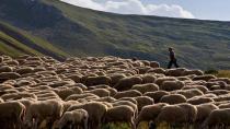 Την εκκαθάριση πληρωμής της Βιολογικής αναμένουν ακόμα οι κτηνοτρόφοι