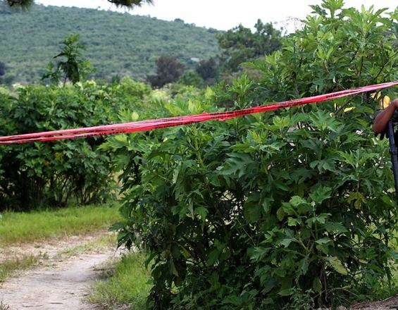 Μεξικό: Οι Αστυνομία εντόπισε 29 πτώματα σε 100 πλαστικές σακούλες