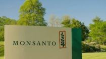 Η πολυεθνική Monsanto παραδέχθηκε ότι χρησιμοποίησε παράνομο ζιζανιοκτόνο στη Χαβάη