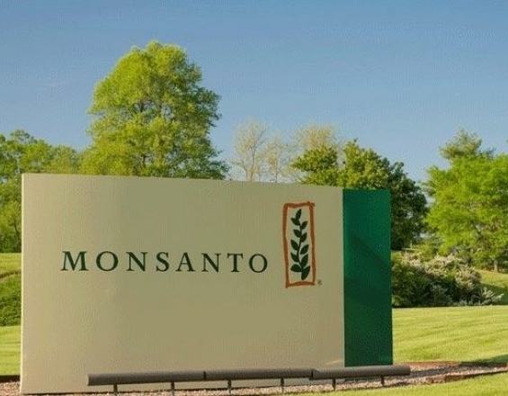 Η πολυεθνική Monsanto παραδέχθηκε ότι χρησιμοποίησε παράνομο ζιζανιοκτόνο στη Χαβάη