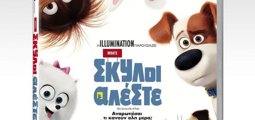 «Μπάτε σκύλοι αλέστε» για μικρούς και μεγάλους στη Φανερωμένη