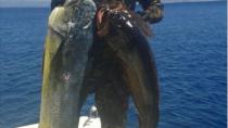 Ψαριά 22 κιλών στο Νότιο Κρητικό Πέλαγος!