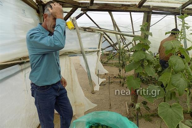 Δάκρυσε Ιεραπετρίτης όταν ο κόπος του έγινε έρμαιο του αέρα