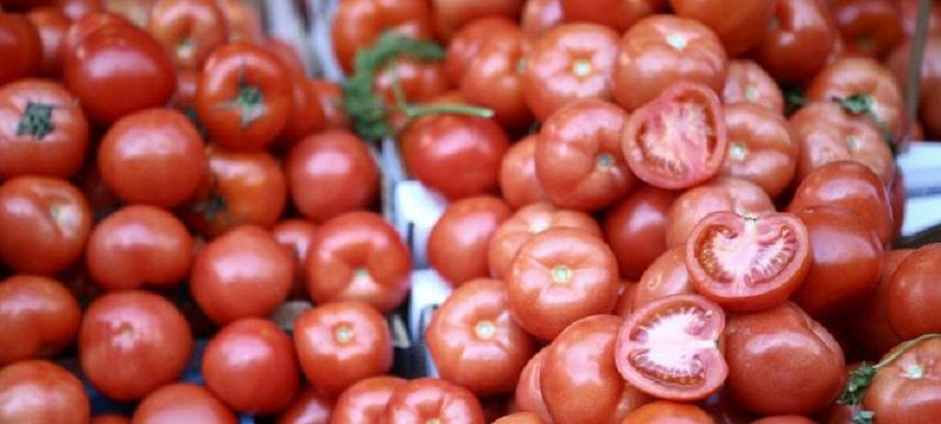 Δεκάδες τόνοι ντομάτας στα αζήτητα-Οι τιμές στο Τυμπάκι