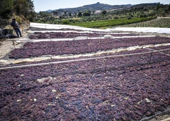 Καπαριανά: Στον οψιγιά του χθες...