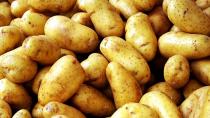 Τι γίνεται στην αγορά της πατάτας Μεσαράς