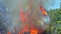 Κίνδυνος Πυρκαγιάς-Σε κατάσταση συναγερμού ο Δήμος Φαιστού