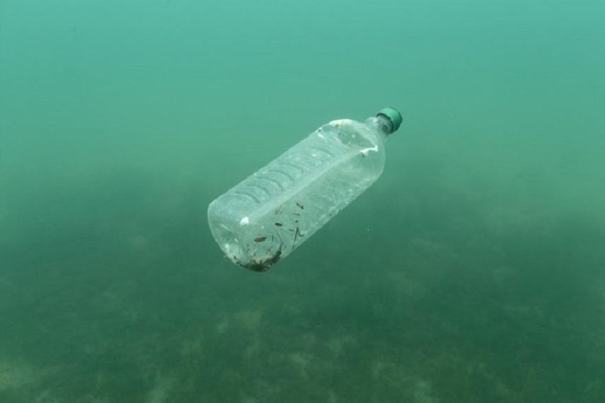 WWF: Πέντε γραμμάρια πλαστικό καταπίνει κάθε εβδομάδα ο μέσος άνθρωπος