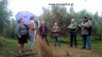 Εκπαιδευτική συνάντηση για την ελιά στον Α.Σ. Τυμπακίου