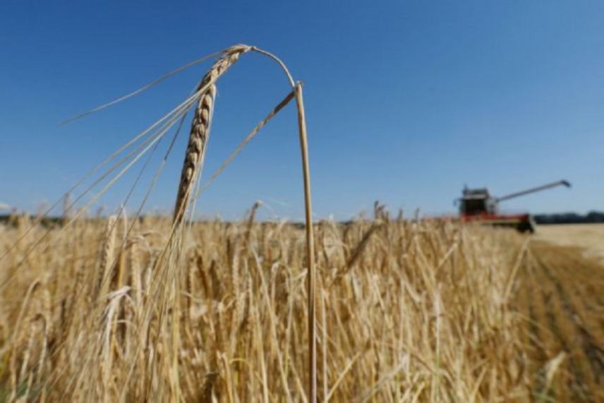 Να δηλωθούν όλα τα τρόφιμα και τα γεωργικά προϊόντα ζητεί το κράτος