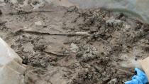 Βρέθηκαν οστά σε ρέμα - Τι αναζητούν οι Αρχές