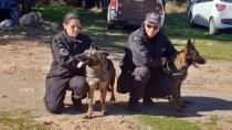 Δύο νέα σκυλιά στη μάχη κατά των δηλητηριασμένων δολωμάτων