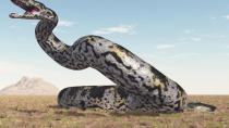Ανακαλύφθηκε αρχαίο φίδι που ήταν μεγαλύτερο από Τυραννόσαυρο
