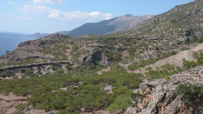 Η Κρήτη σε πρόγραμμα για την προστασία του Σπιζαετού